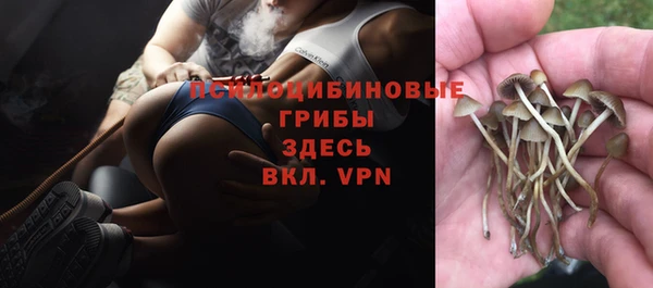 прущая мука Волоколамск
