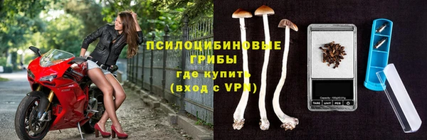 a pvp Горнозаводск