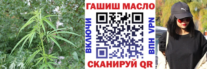 kraken как зайти  Елабуга  Дистиллят ТГК вейп 